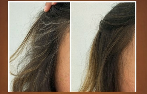 Amanda G., Florida review photo